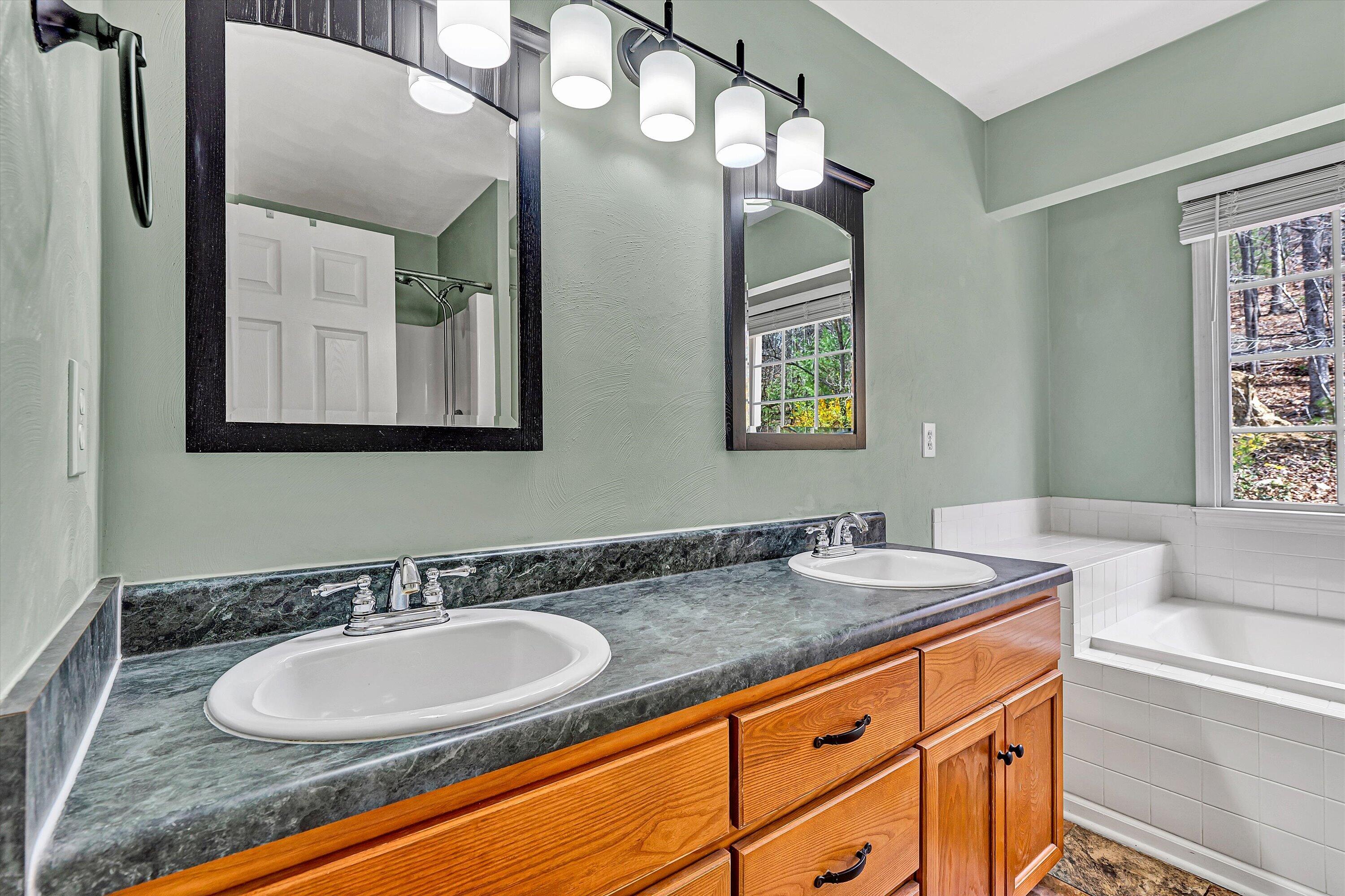 2540 Blue Ridge Springs Road Blue Ridge, VA 24064 - Photo 16 of 49 Primary bedroom double sink vanity