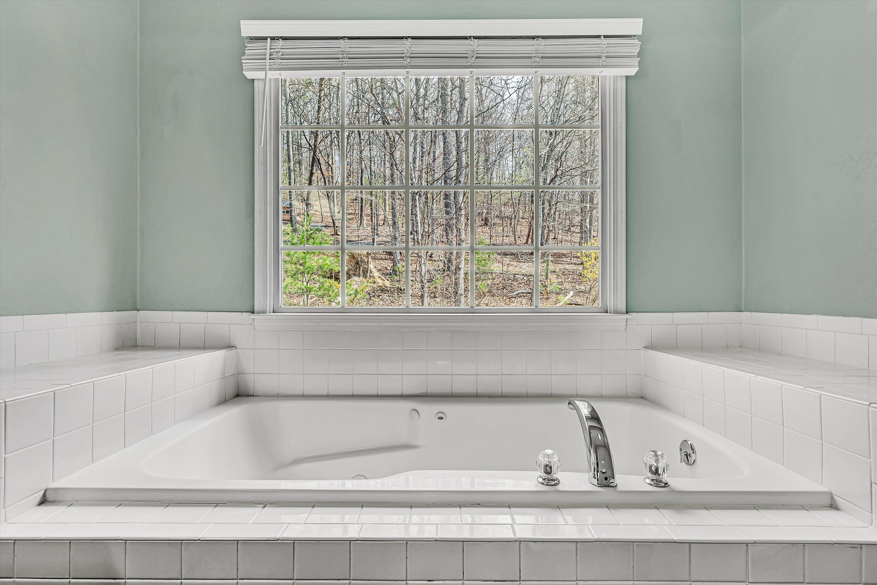 2540 Blue Ridge Springs Road Blue Ridge, VA 24064 - Photo 17 of 49 Jetted soaking tub