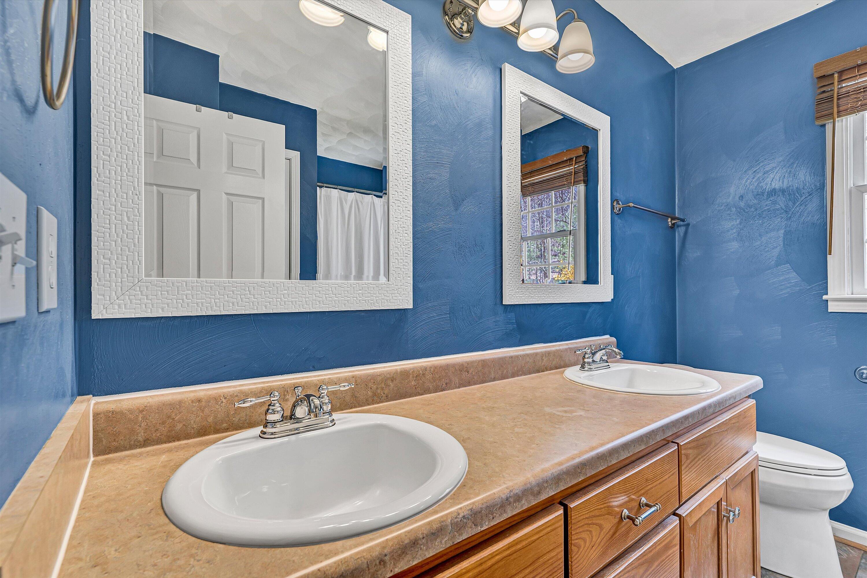 2540 Blue Ridge Springs Road Blue Ridge, VA 24064 - Photo 23 of 49 Hall bath with double sink vanity