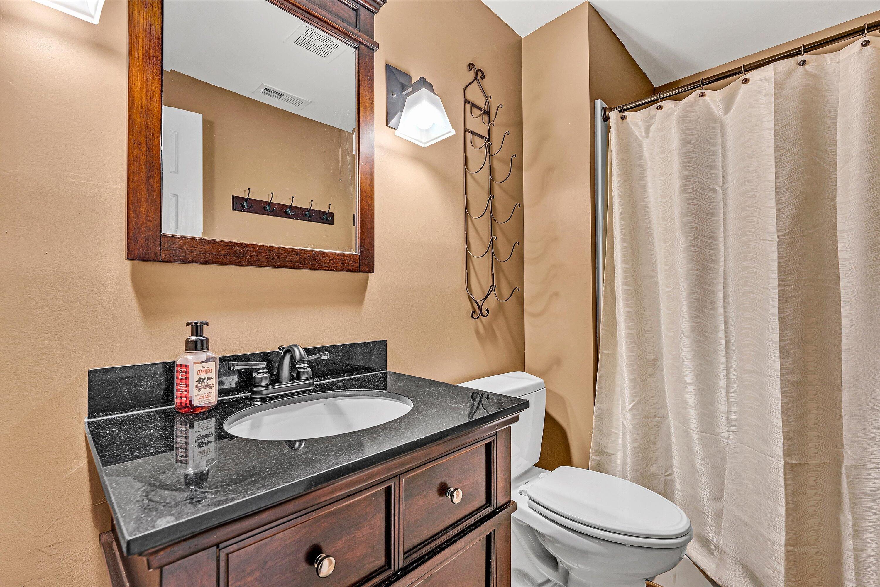 2540 Blue Ridge Springs Road Blue Ridge, VA 24064 - Photo 28 of 49 Lower level full bath