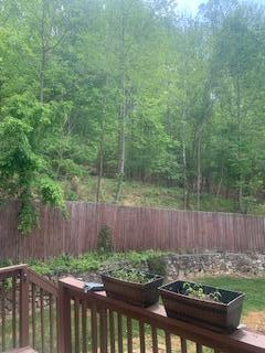 2540 Blue Ridge Springs Road Blue Ridge, VA 24064 - Photo 32 of 49 Back yard beyond the fench