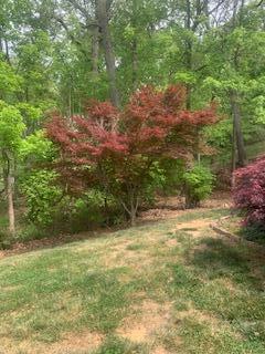 2540 Blue Ridge Springs Road Blue Ridge, VA 24064 - Photo 34 of 49 Front yard