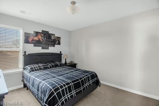 355 Tuttle Road Rural Hall, NC 27045 - Photo 31 of 45