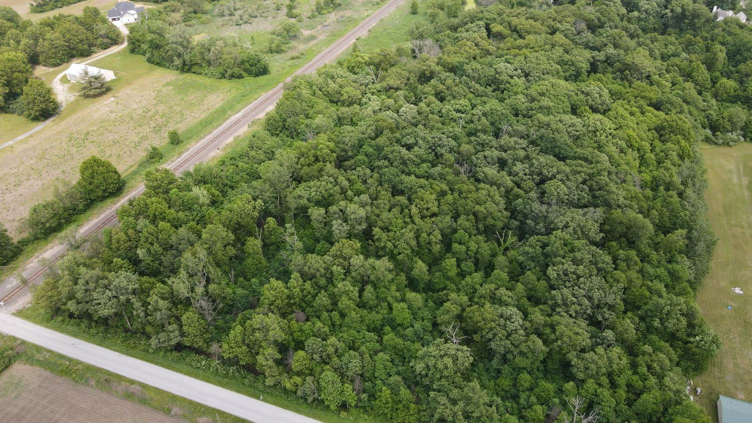 18-acres 18-acres 950th Street West Demotte, IN 46310 - Photo 3 of 17 a view of a green yard with plants and large tree