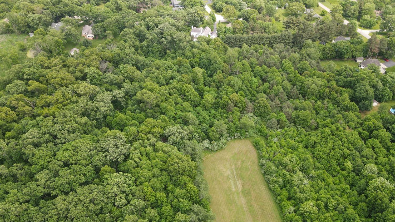 18-acres 18-acres 950th Street West Demotte, IN 46310 - Photo 6 of 17 a view of a forest with a tree