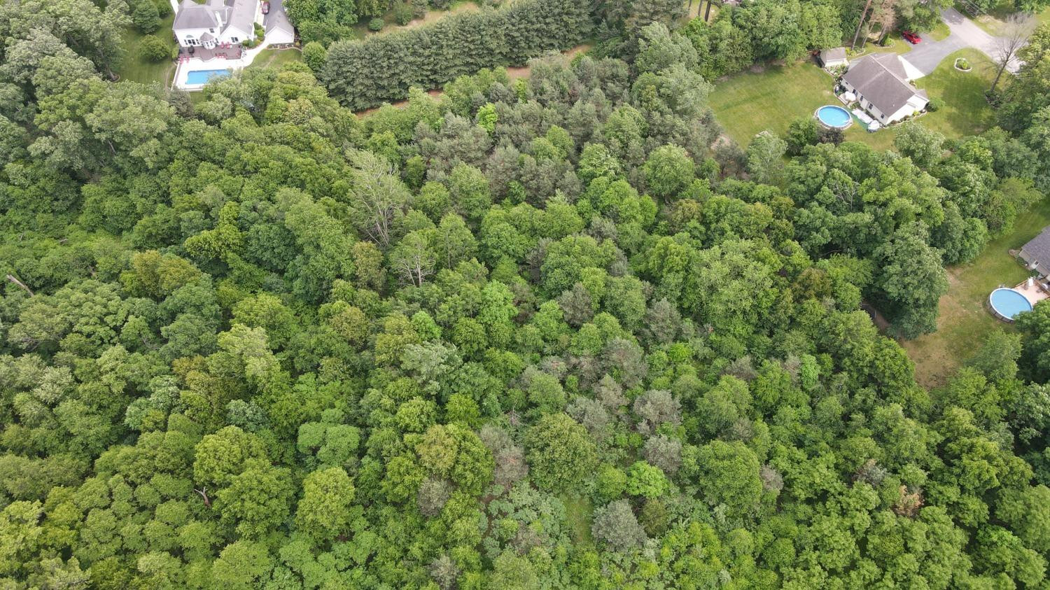 18-acres 18-acres 950th Street West Demotte, IN 46310 - Photo 7 of 17 a view of a forest with a tree
