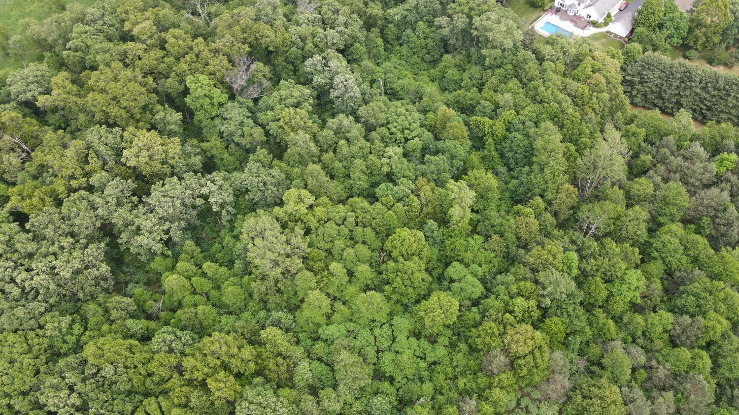 18-acres 18-acres 950th Street West Demotte, IN 46310 - Photo 9 of 17 a view of a lush green field