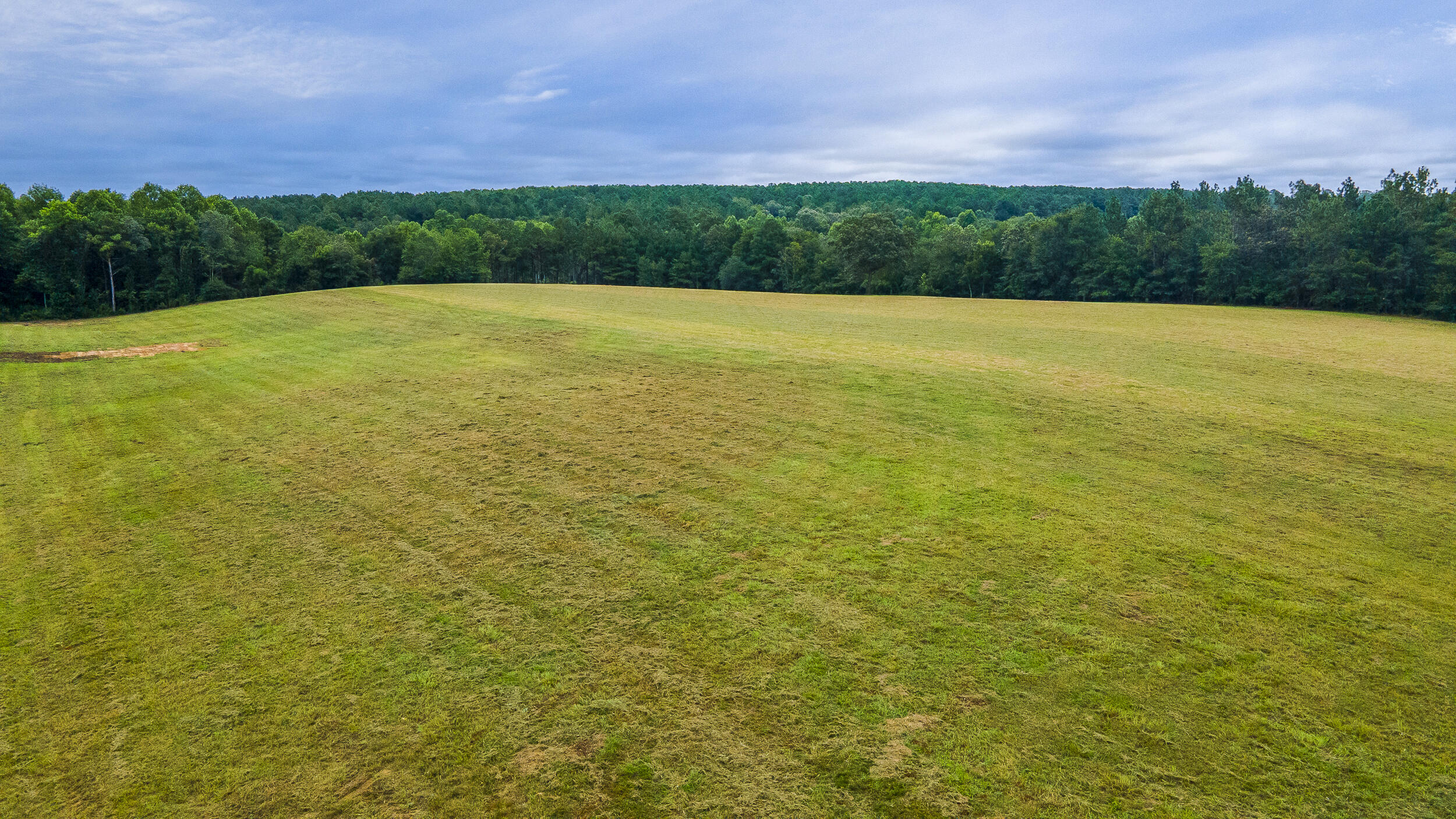 0 Cedar Creek Road Windsor, SC 29856 - Photo 10 of 31 Gallery Image 10