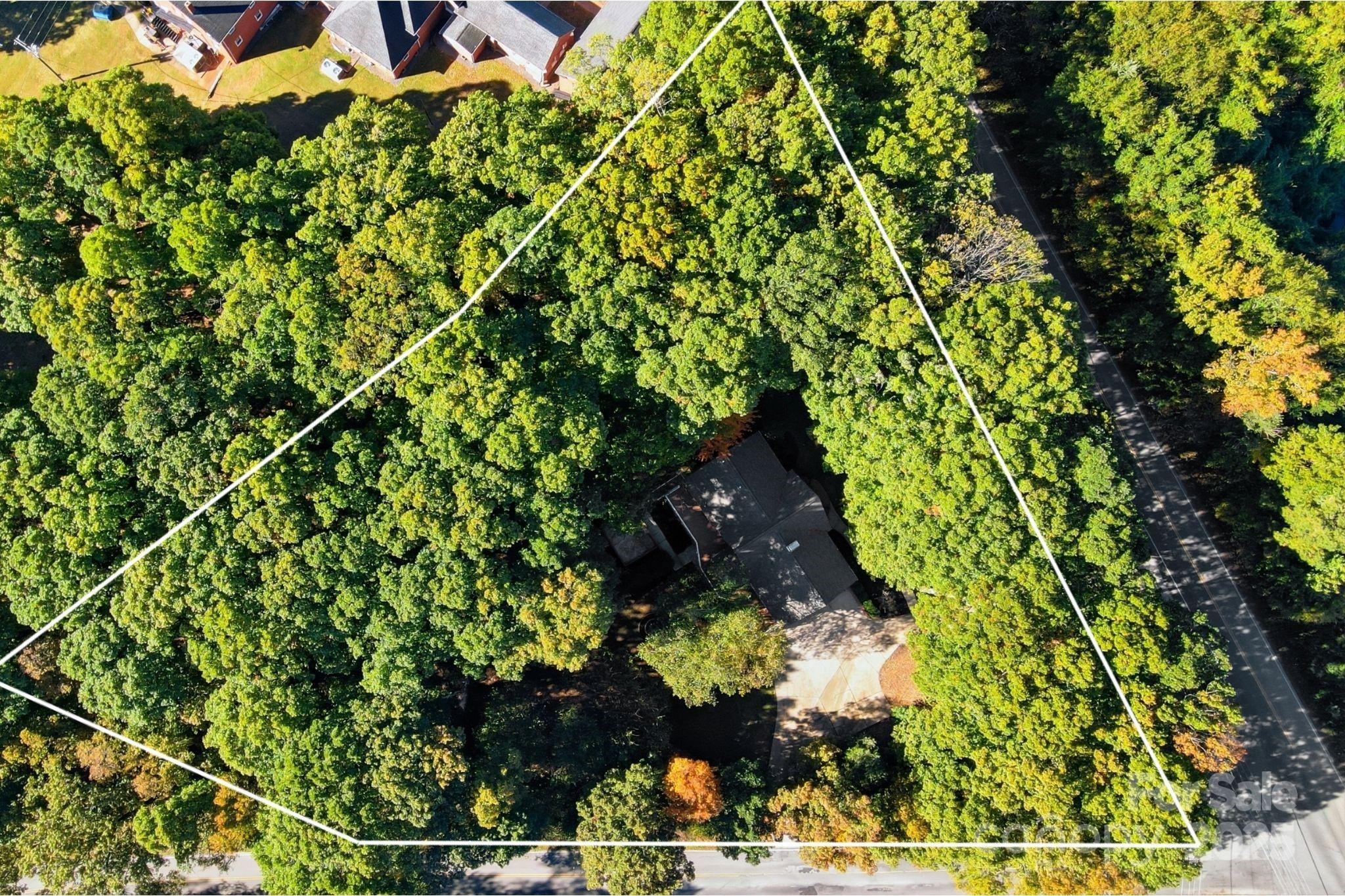 3475 Pikeview Road Fort Mill, SC 29715 - Photo 48 of 48 a picture of flowers