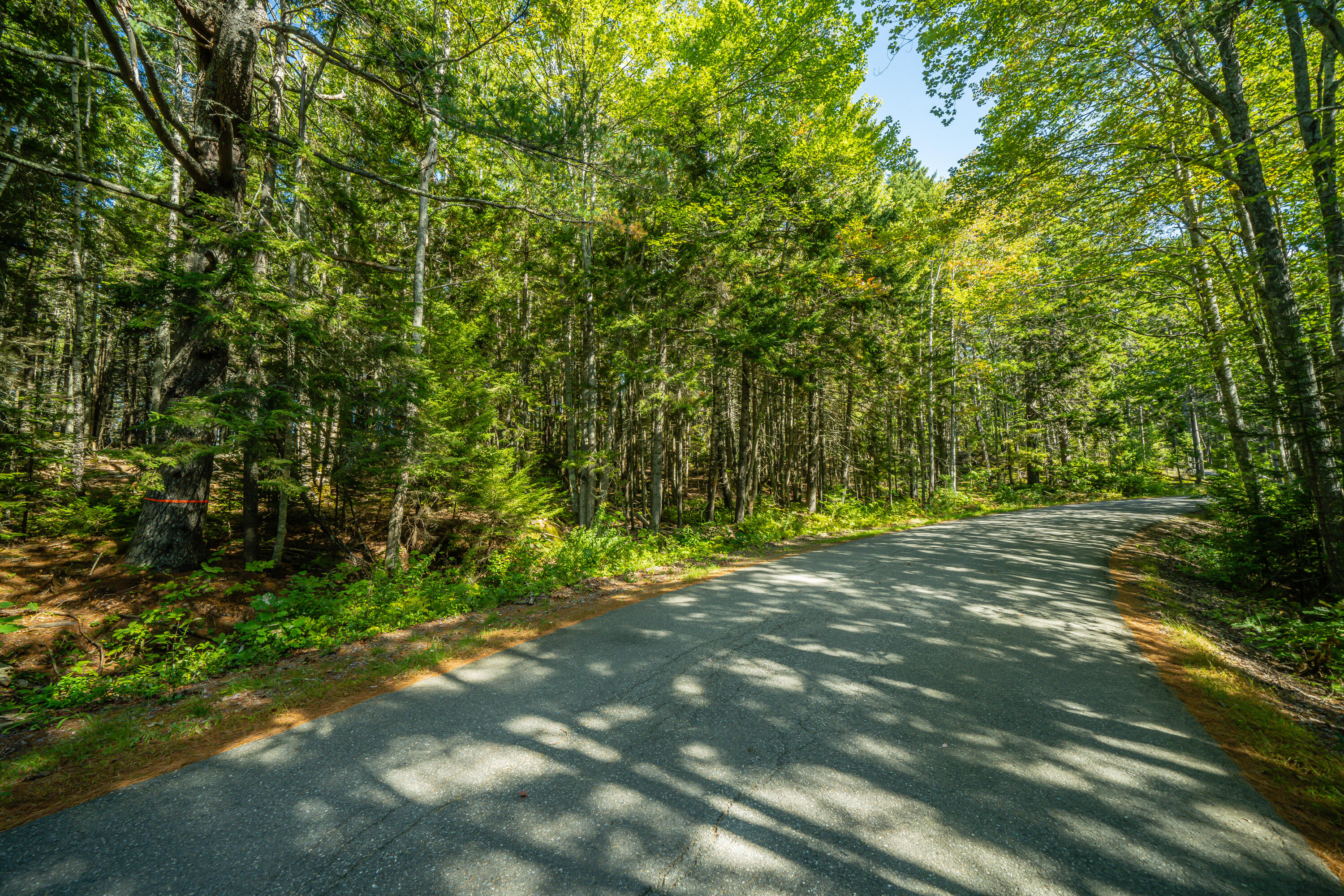 165 Forest Lake Road Friendship, ME 04547 - Photo 6 of 16 0103