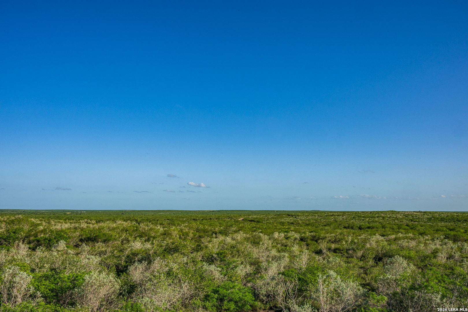 111 Los Lomas Ranch Road Freer, TX 78357 - Photo 16 of 31