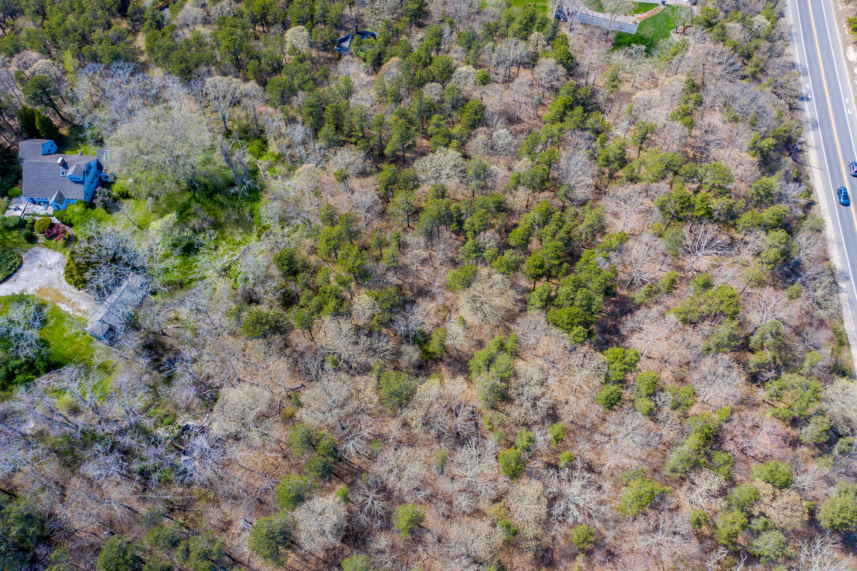 109 Castle Road Truro, MA 02666 - Photo 5 of 11 a view of a yard with a tree