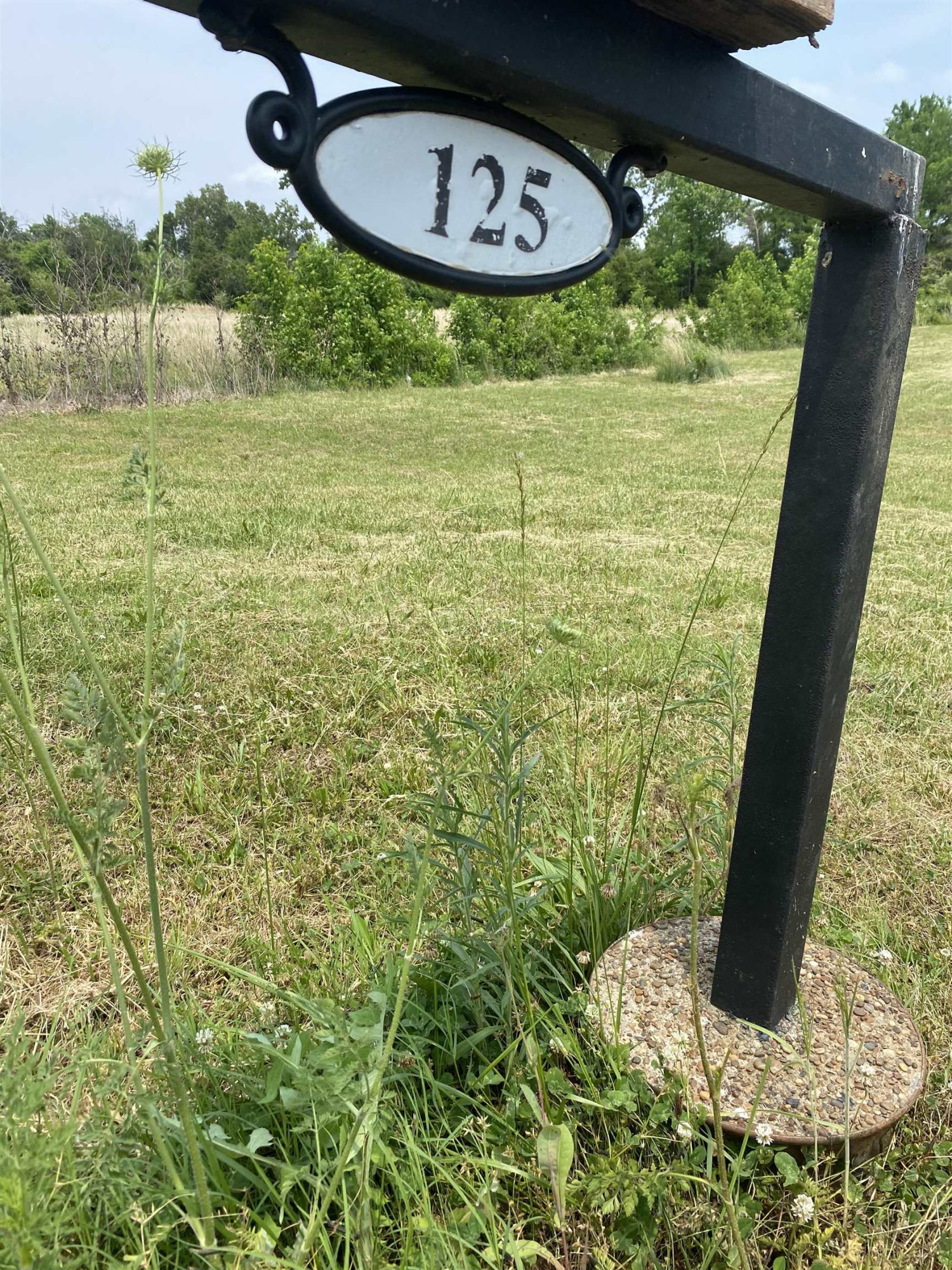 125 Wayne Lloyd Road Atwood, TN 38220 - Photo 1 of 7 Photo 1