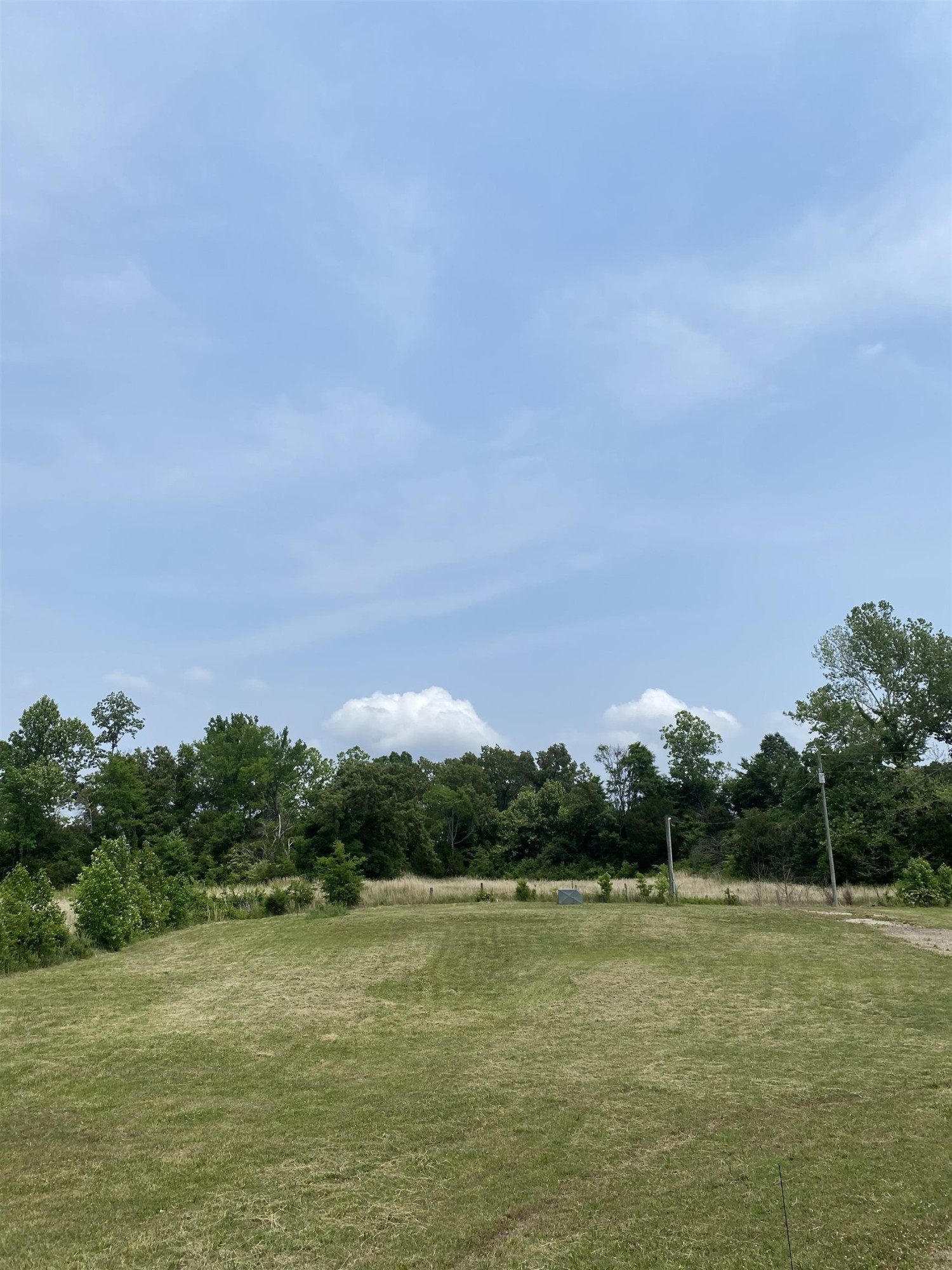 125 Wayne Lloyd Road Atwood, TN 38220 - Photo 2 of 7 Photo 2