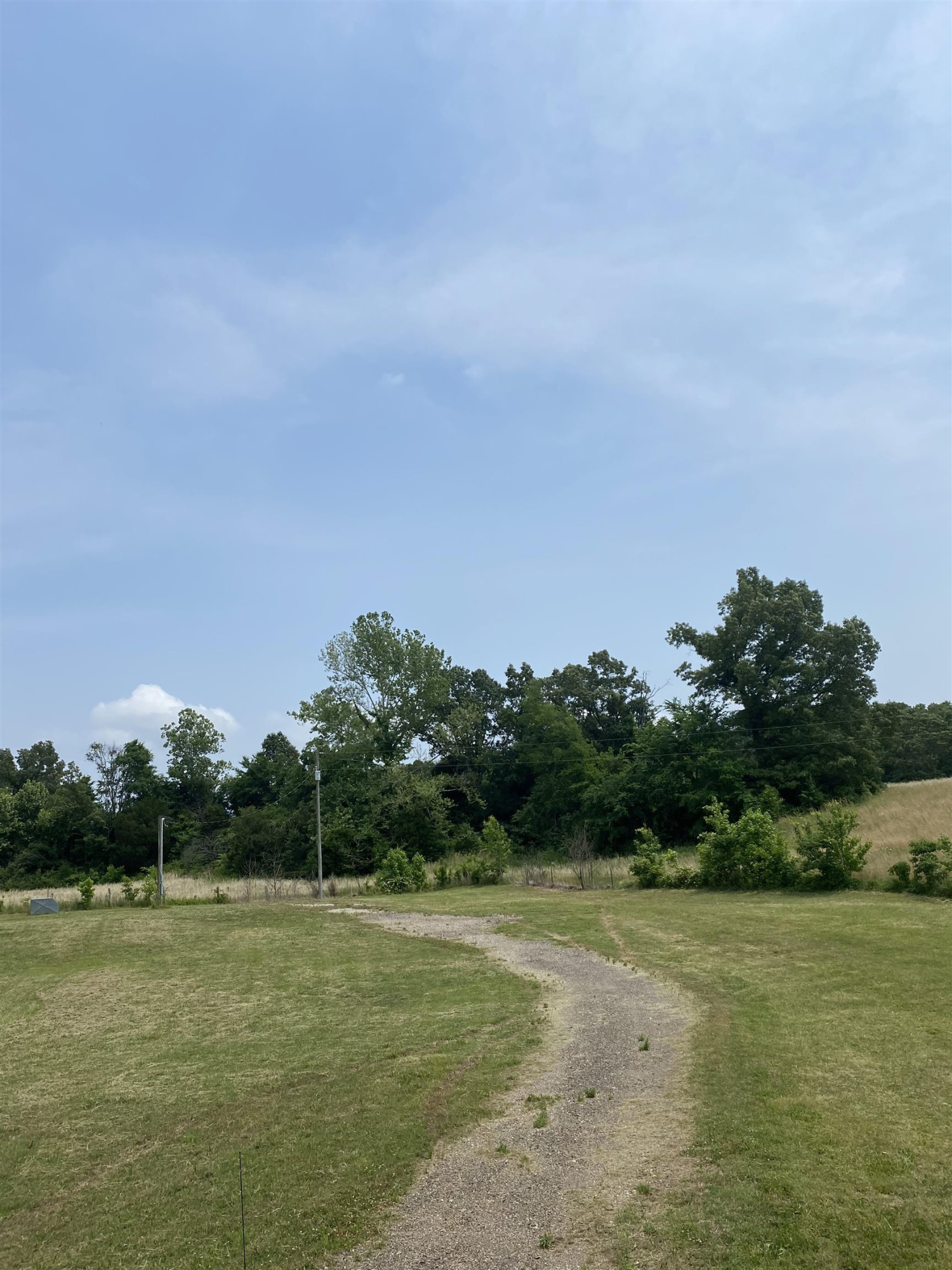 125 Wayne Lloyd Road Atwood, TN 38220 - Photo 3 of 7 Photo 3
