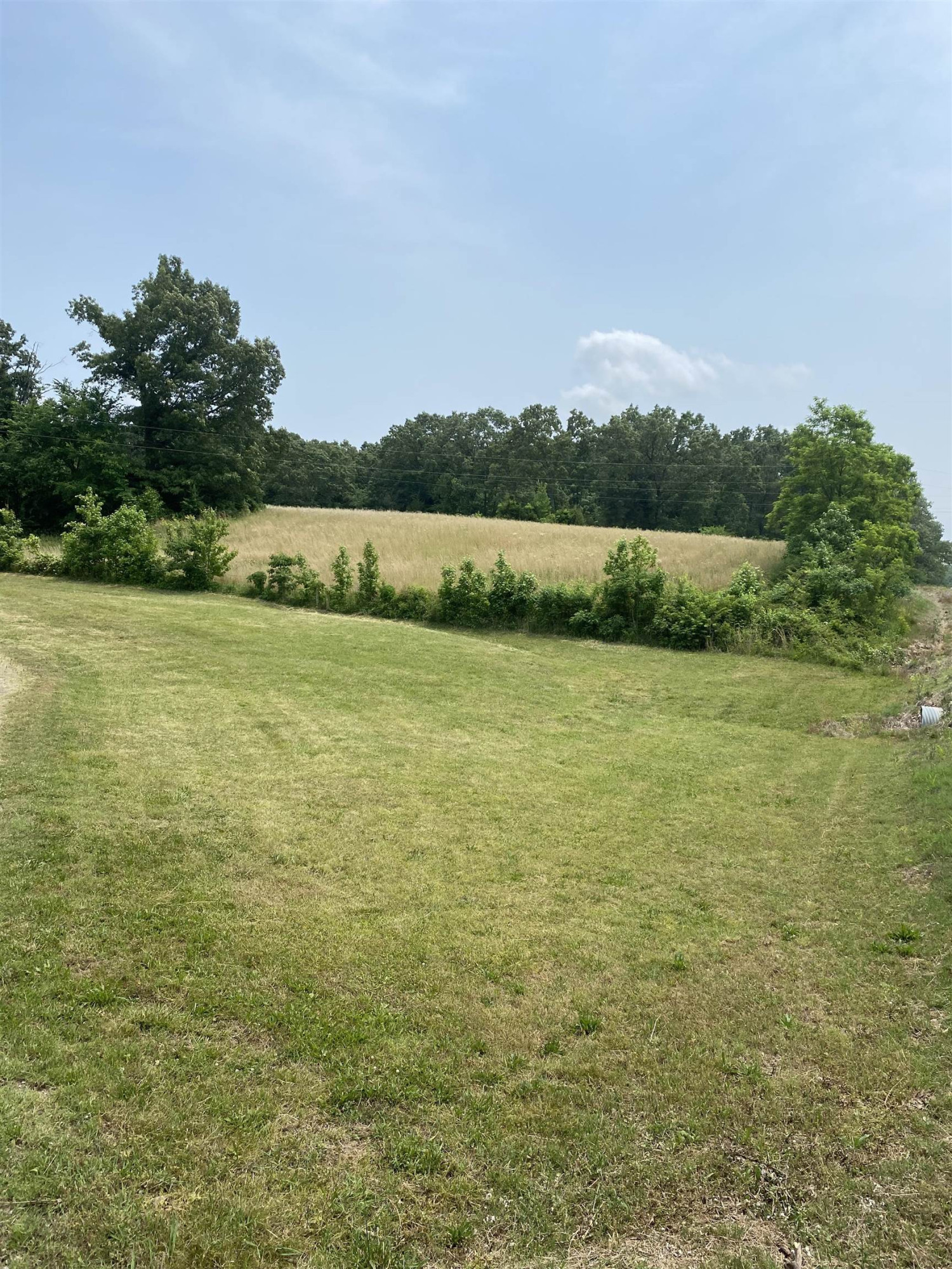 125 Wayne Lloyd Road Atwood, TN 38220 - Photo 4 of 7 Photo 4