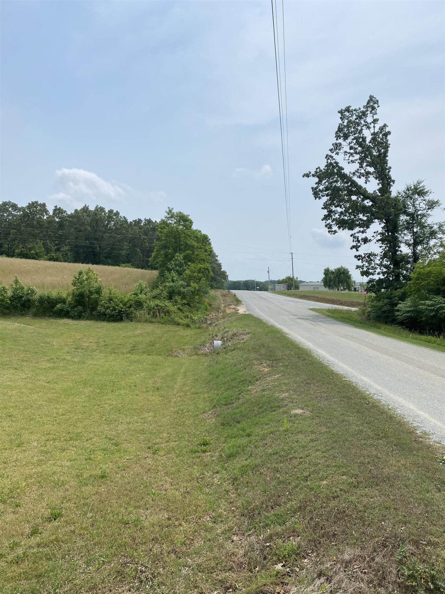 125 Wayne Lloyd Road Atwood, TN 38220 - Photo 5 of 7 Photo 5