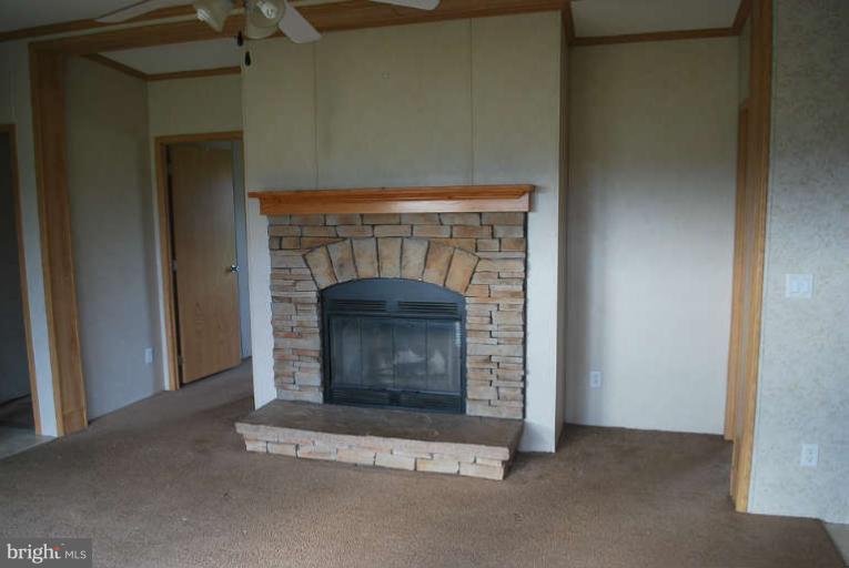 40 Rumsey Road Warwick, MD 21912 - Photo 11 of 15 Fireplace