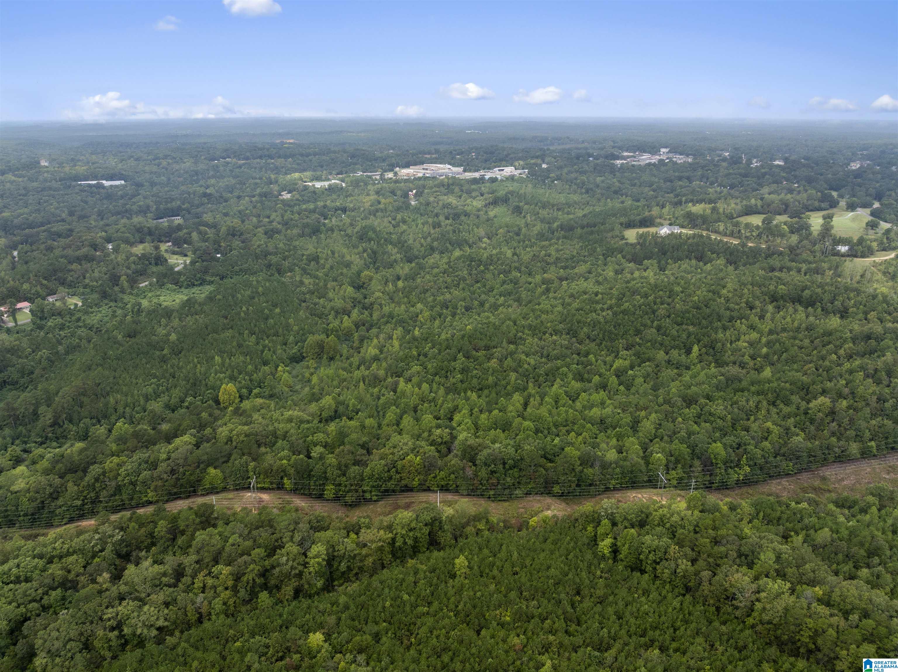 0 Beech Grove Road, Unit 1 Haleyville, AL 35565 - Photo 10 of 12