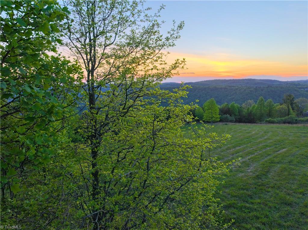 2621 Elk Spur Road Fancy Gap, VA 24328 - Photo 13 of 28 Gallery Image 13