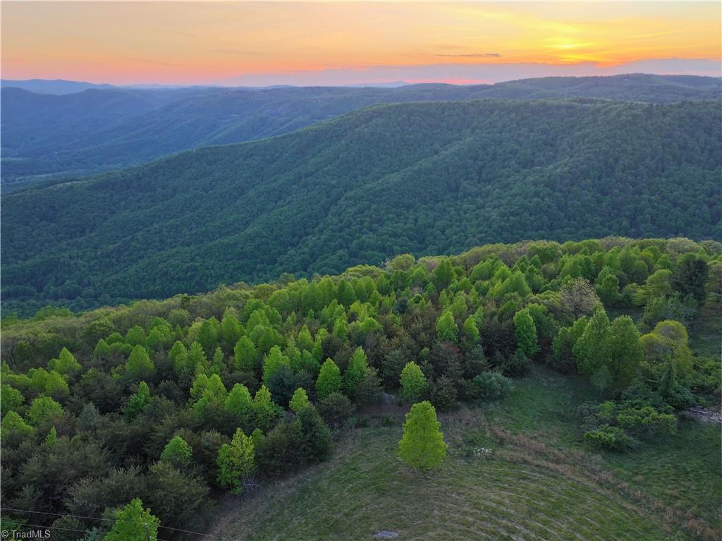 2621 Elk Spur Road Fancy Gap, VA 24328 - Photo 14 of 28 Gallery Image 14