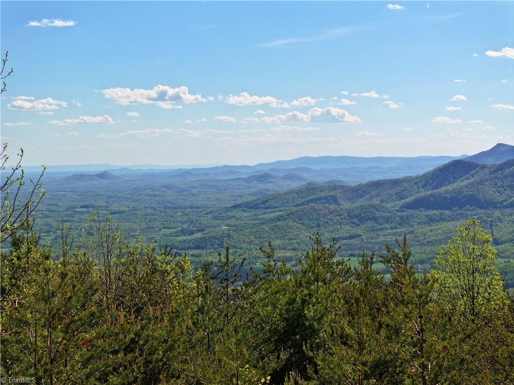 2621 Elk Spur Road Fancy Gap, VA 24328 - Photo 17 of 28 Gallery Image 17