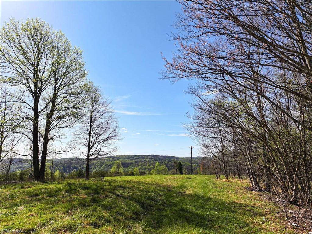 2621 Elk Spur Road Fancy Gap, VA 24328 - Photo 6 of 28 Gallery Image 6
