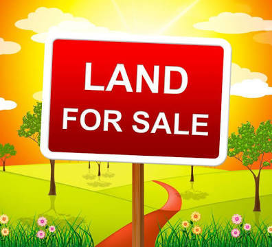 238 Grant Avenue Clarendon Hills, IL 60514 - Photo 1 of 39 a street sign that is on the wall