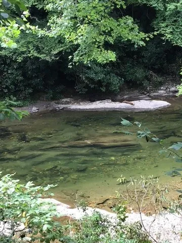 $1,350 | 2208 Blue Rock Road, Burnsville, NC 28714