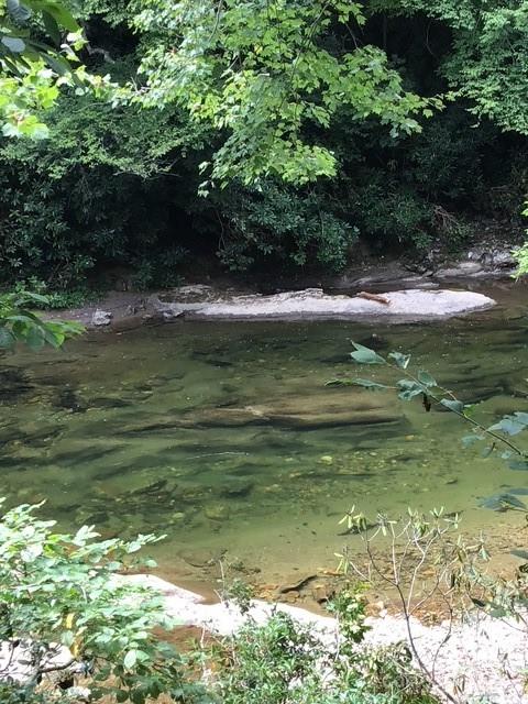 2208 Blue Rock Road Burnsville, NC 28714 - Photo 11 of 11