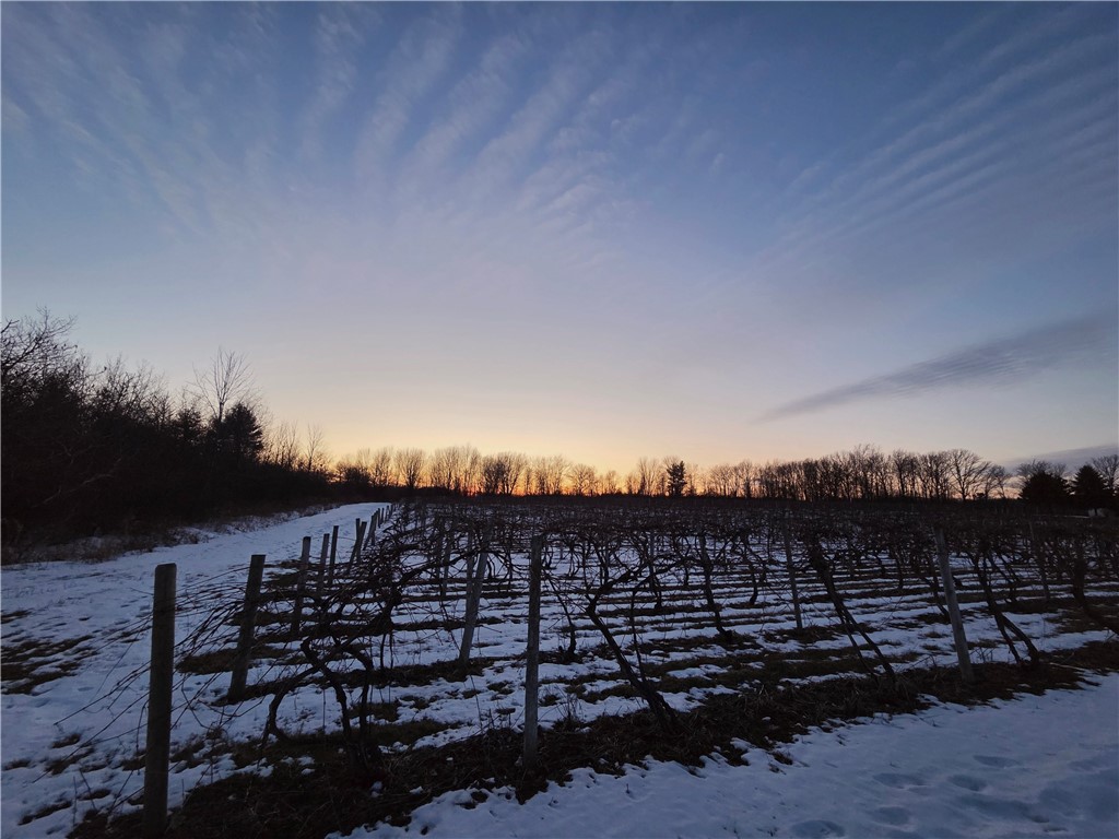 Sutton Road Penn Yan, NY 14527 - Photo 1 of 50