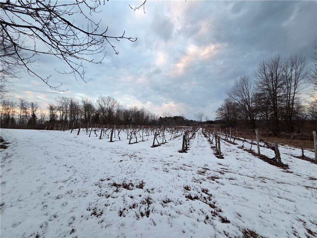 Sutton Road Penn Yan, NY 14527 - Photo 11 of 50