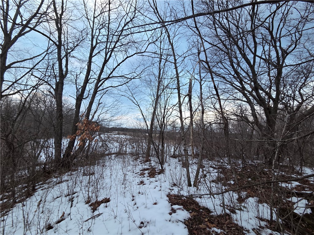 Sutton Road Penn Yan, NY 14527 - Photo 13 of 50