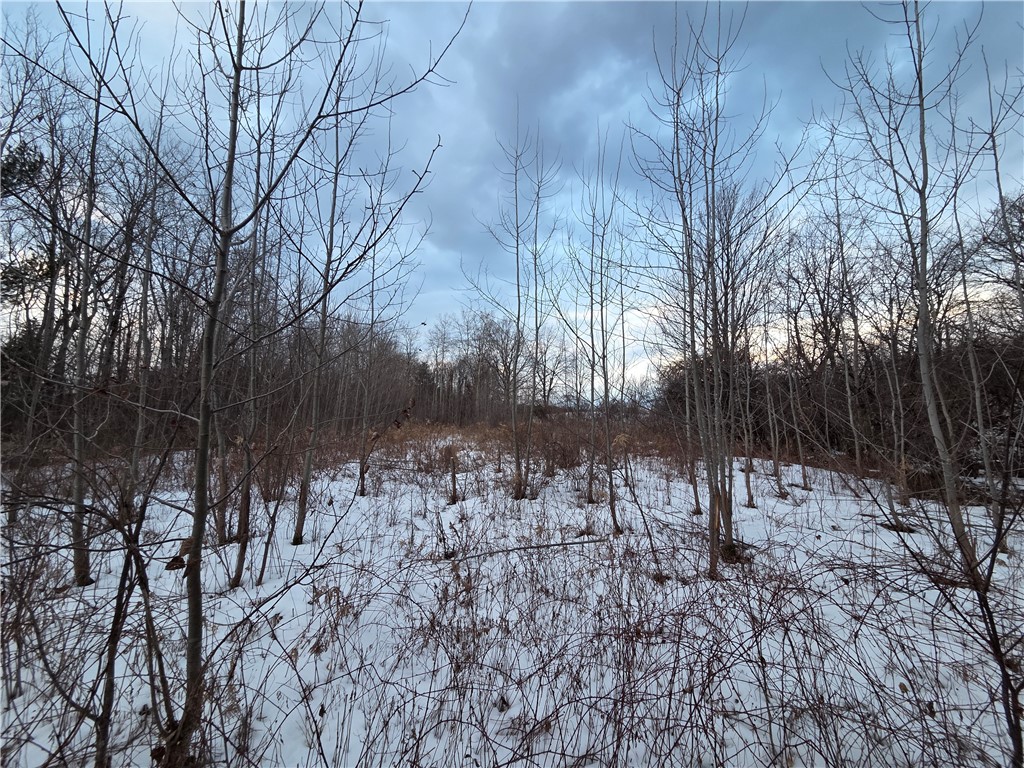 Sutton Road Penn Yan, NY 14527 - Photo 14 of 50