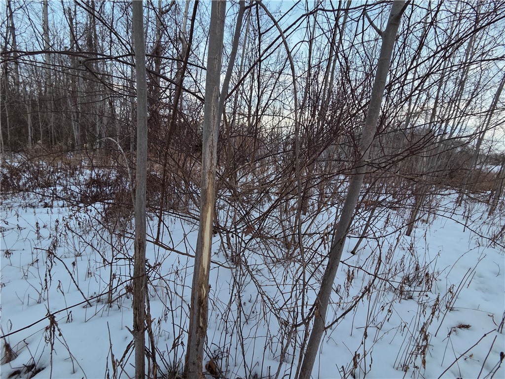 Sutton Road Penn Yan, NY 14527 - Photo 16 of 50