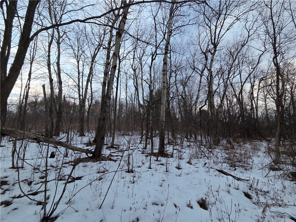 Sutton Road Penn Yan, NY 14527 - Photo 17 of 50