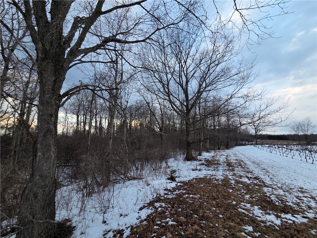Sutton Road Penn Yan, NY 14527 - Photo 19 of 50