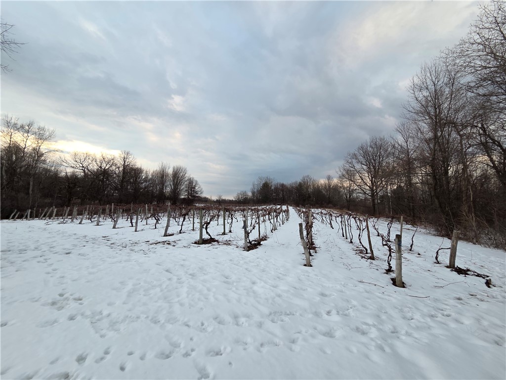 Sutton Road Penn Yan, NY 14527 - Photo 20 of 50