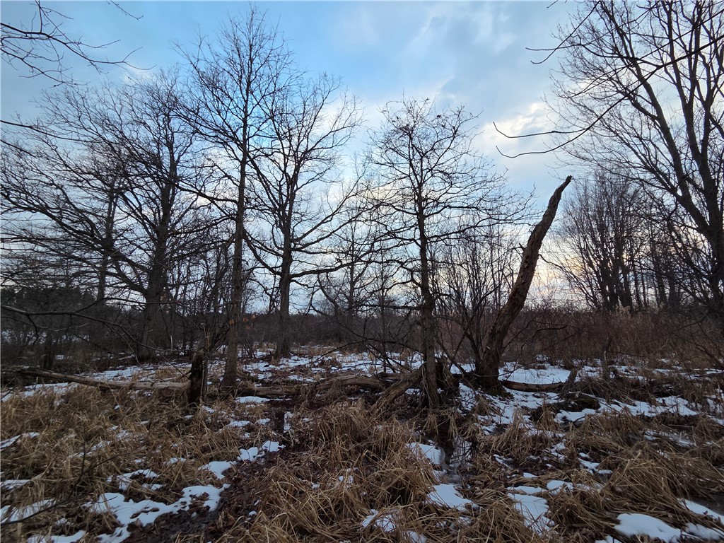 Sutton Road Penn Yan, NY 14527 - Photo 22 of 50