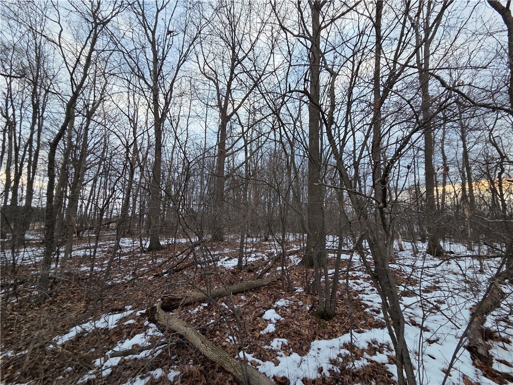 Sutton Road Penn Yan, NY 14527 - Photo 23 of 50