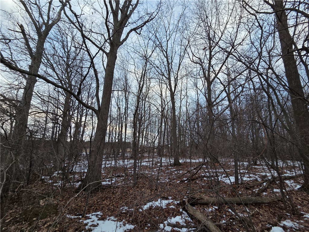 Sutton Road Penn Yan, NY 14527 - Photo 24 of 50