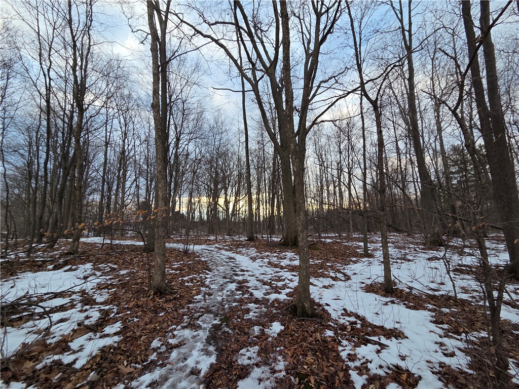 Sutton Road Penn Yan, NY 14527 - Photo 26 of 50