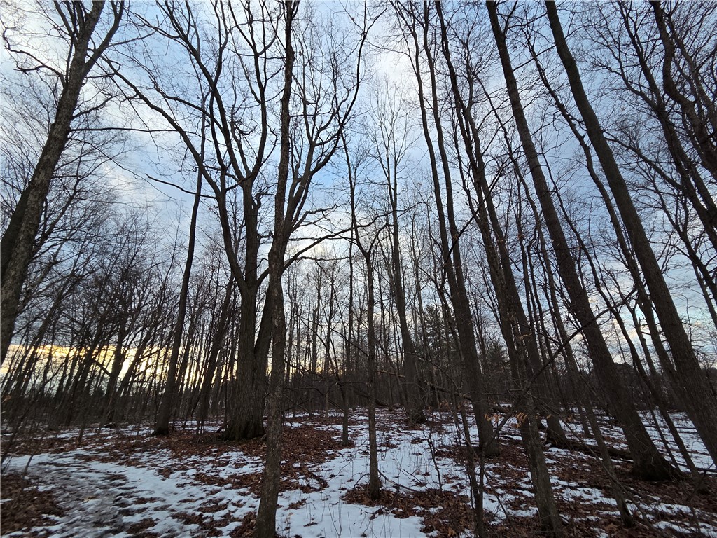 Sutton Road Penn Yan, NY 14527 - Photo 28 of 50