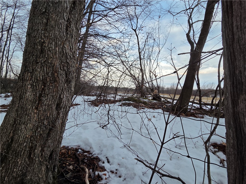 Sutton Road Penn Yan, NY 14527 - Photo 29 of 50