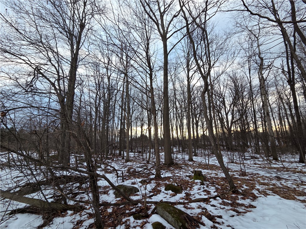 Sutton Road Penn Yan, NY 14527 - Photo 30 of 50