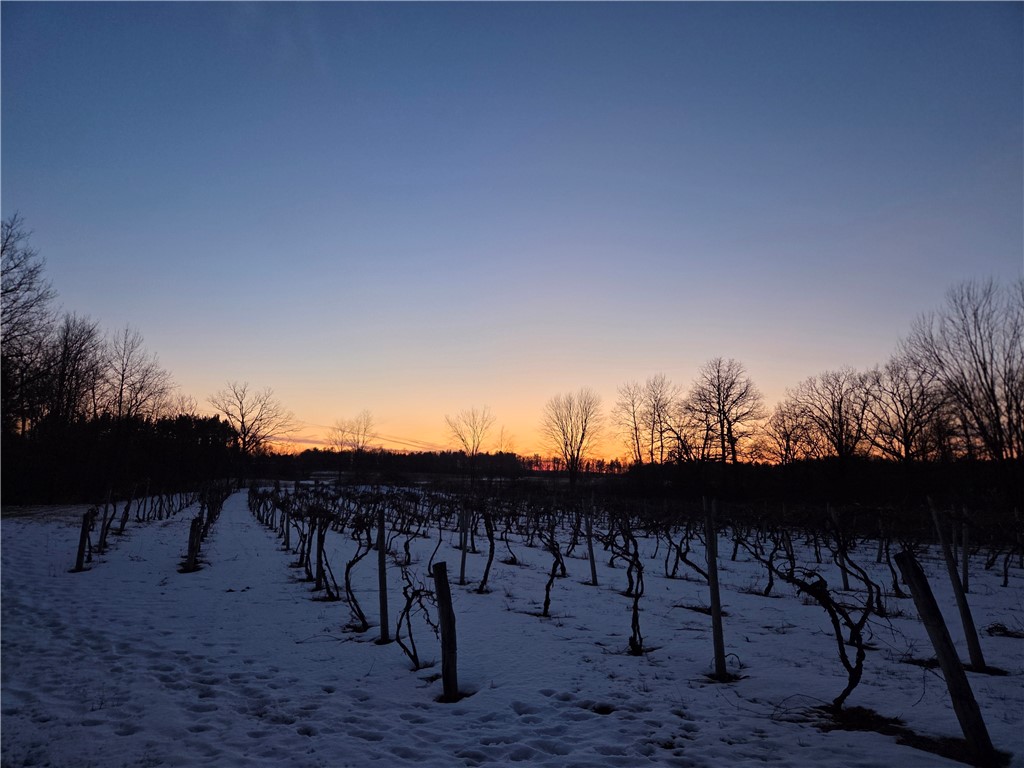 Sutton Road Penn Yan, NY 14527 - Photo 3 of 50