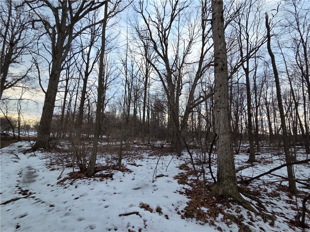 Sutton Road Penn Yan, NY 14527 - Photo 32 of 50