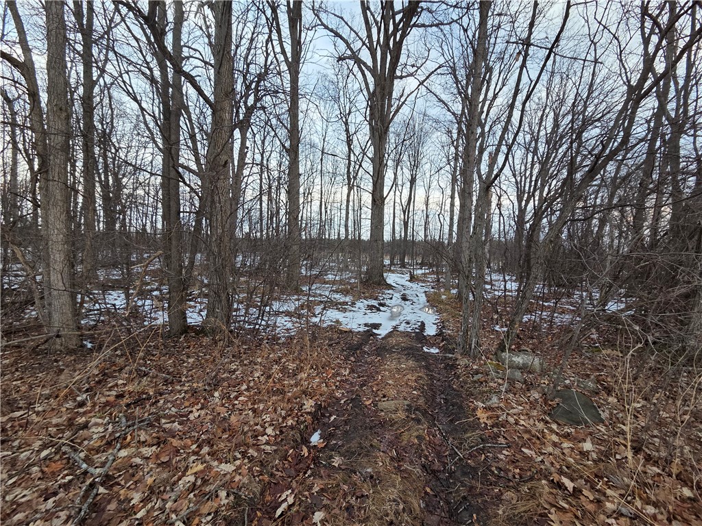 Sutton Road Penn Yan, NY 14527 - Photo 33 of 50