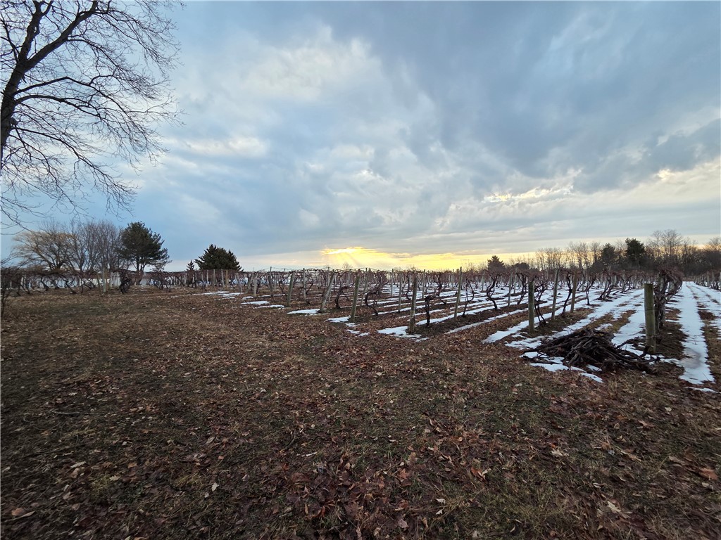 Sutton Road Penn Yan, NY 14527 - Photo 34 of 50