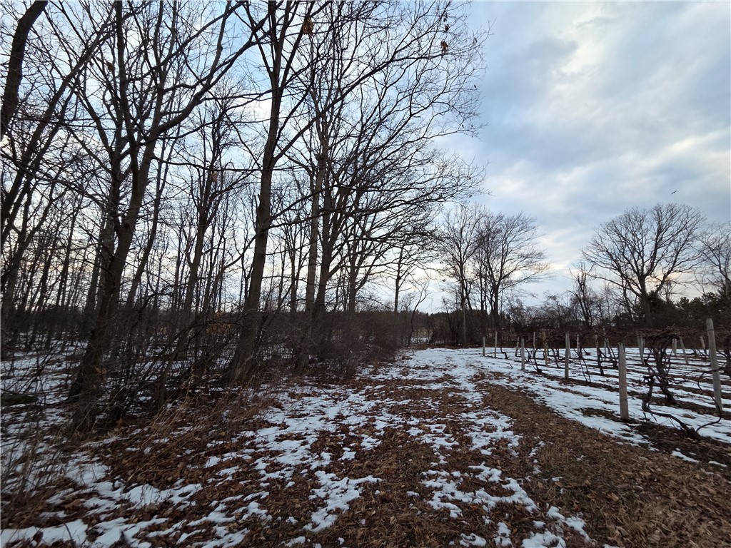 Sutton Road Penn Yan, NY 14527 - Photo 35 of 50